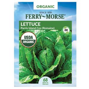 Organic Lettuce Parris Island Vegetable Seed