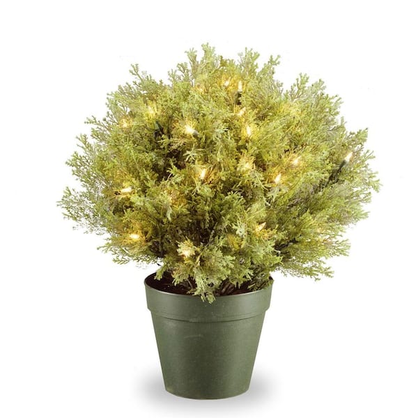National Tree Company 30 in. Artificial Globe Juniper Tree with 70 Clear Lights in Dark Green Round Plastic Pot