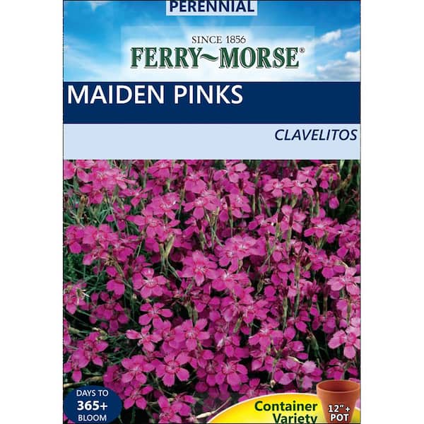 Ferry-Morse Flower Maiden Pinks Seed
