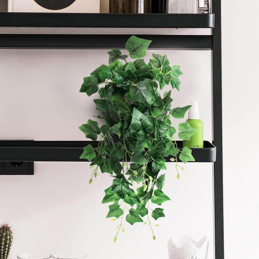 【HENRI EN VARGO】IVY HENRI EN VARGO】IVY