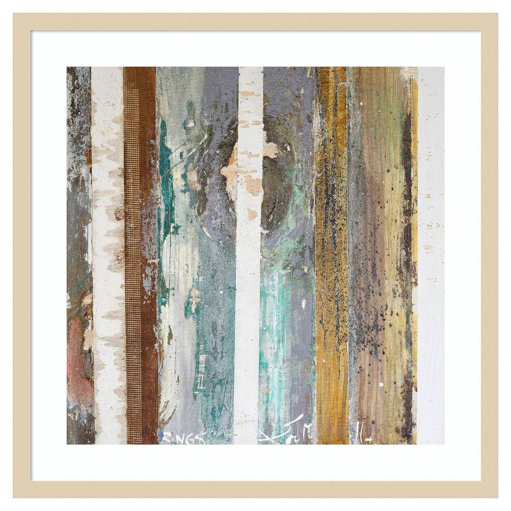 Textured Grain IV by Erin McGee Ferrell 25 in. W x 25 in. H. Wood Framed Wall Art Print Framed in Brown price history on PriceWatchPro