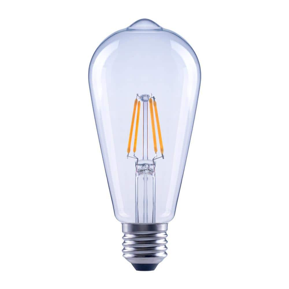 EcoSmart 75-Watt Equivalent ST19 Antique Edison Dimmable Clear Glass ...