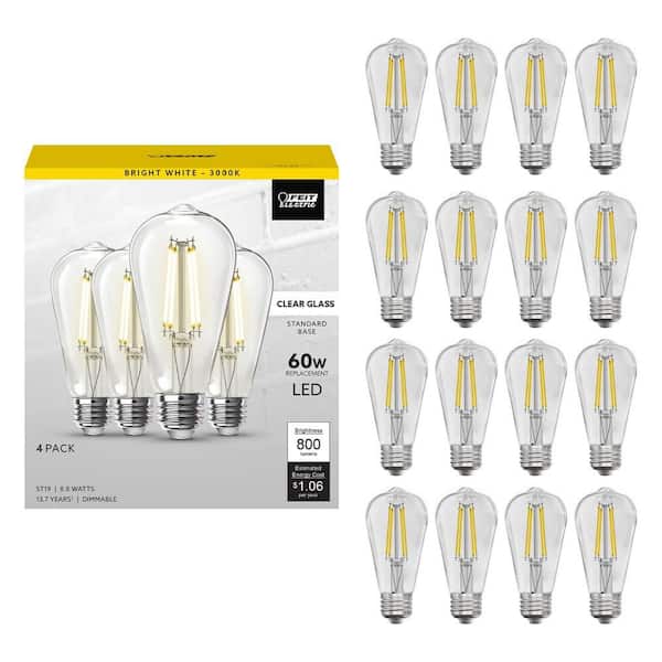 Feit Electric 60-Watt Equivalent ST19 Dimmable Straight Filament