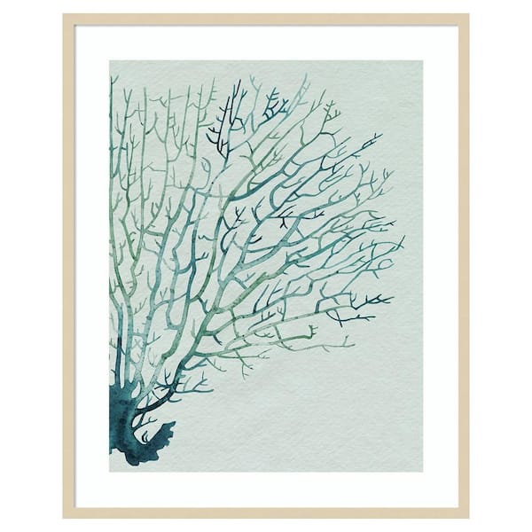 Amanti Art Seaglass Shadow I by Grace Popp 33 in. W x 41 in. H. Wood Framed Wall Art Print Framed in Brown