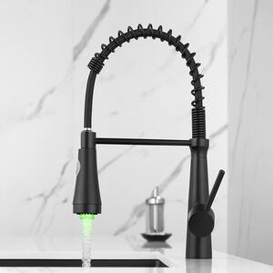Single-Handle Pull Down Sprayer Kitchen Faucet with Sprayer LED in Matte Black