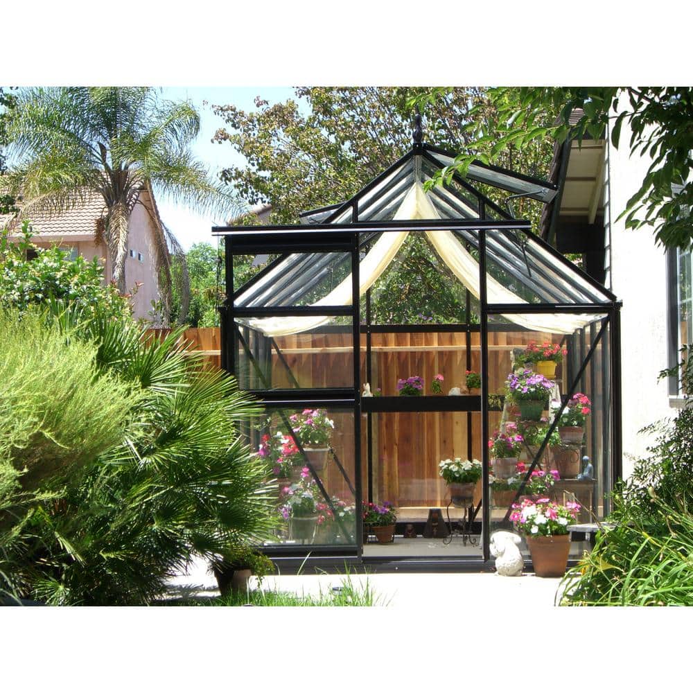 Junior Victorian Black Aluminum and Glass Walk-In Greenhouse