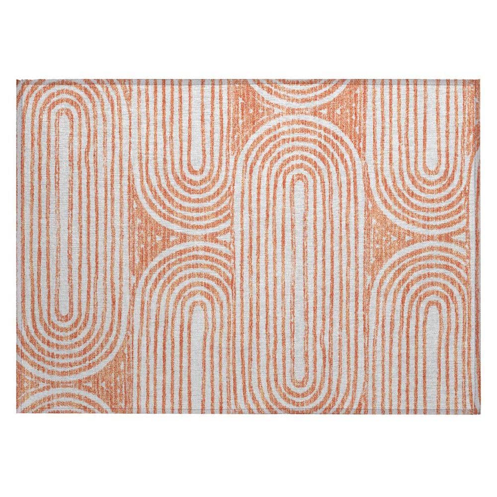 Salmon 2 ft. x 3 ft. Woven Abstract Rectangle Indoor/Outdoor Area Rug price history on PriceWatchPro