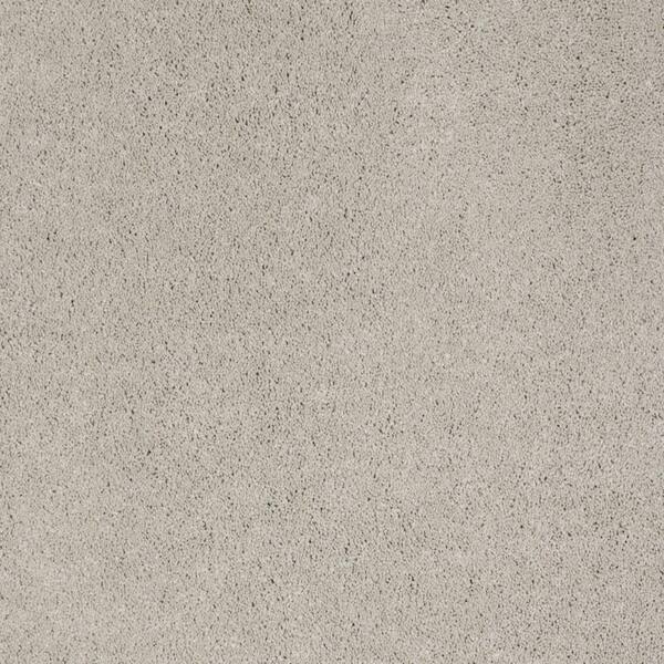 SoftSpring Carpet Sample - Miraculous II - Color Heather Texture 8 in. x 8 in.