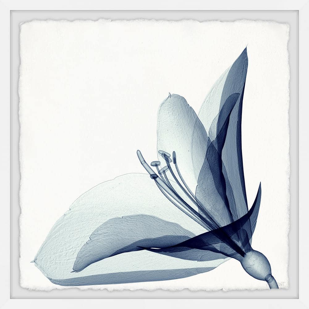 Always Be Happy by Marmont Hill Framed Nature Art Print 24 in. x 24 in.