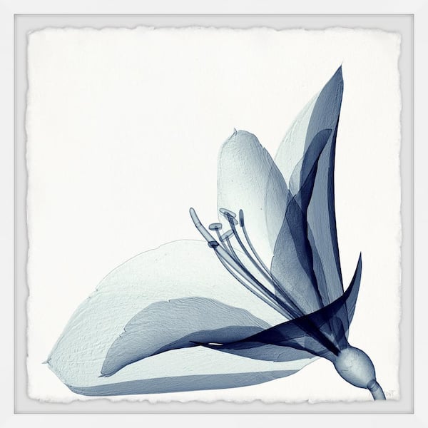 Unbranded "Always Be Happy" by Marmont Hill Framed Nature Art Print 24 in. x 24 in.