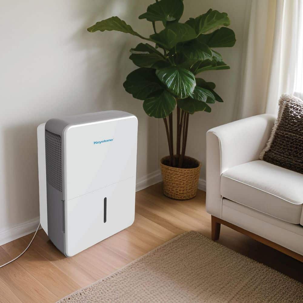Energy Star White Portable Dehumidifier with Humidistat