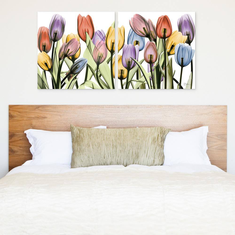 Tulip Scape X-Ray I & II Frameless Tempered Glass Wall Art Set