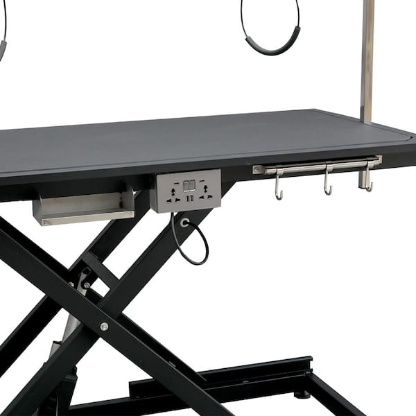 DaySmart  Electric Grooming Table: Knowing Your Options