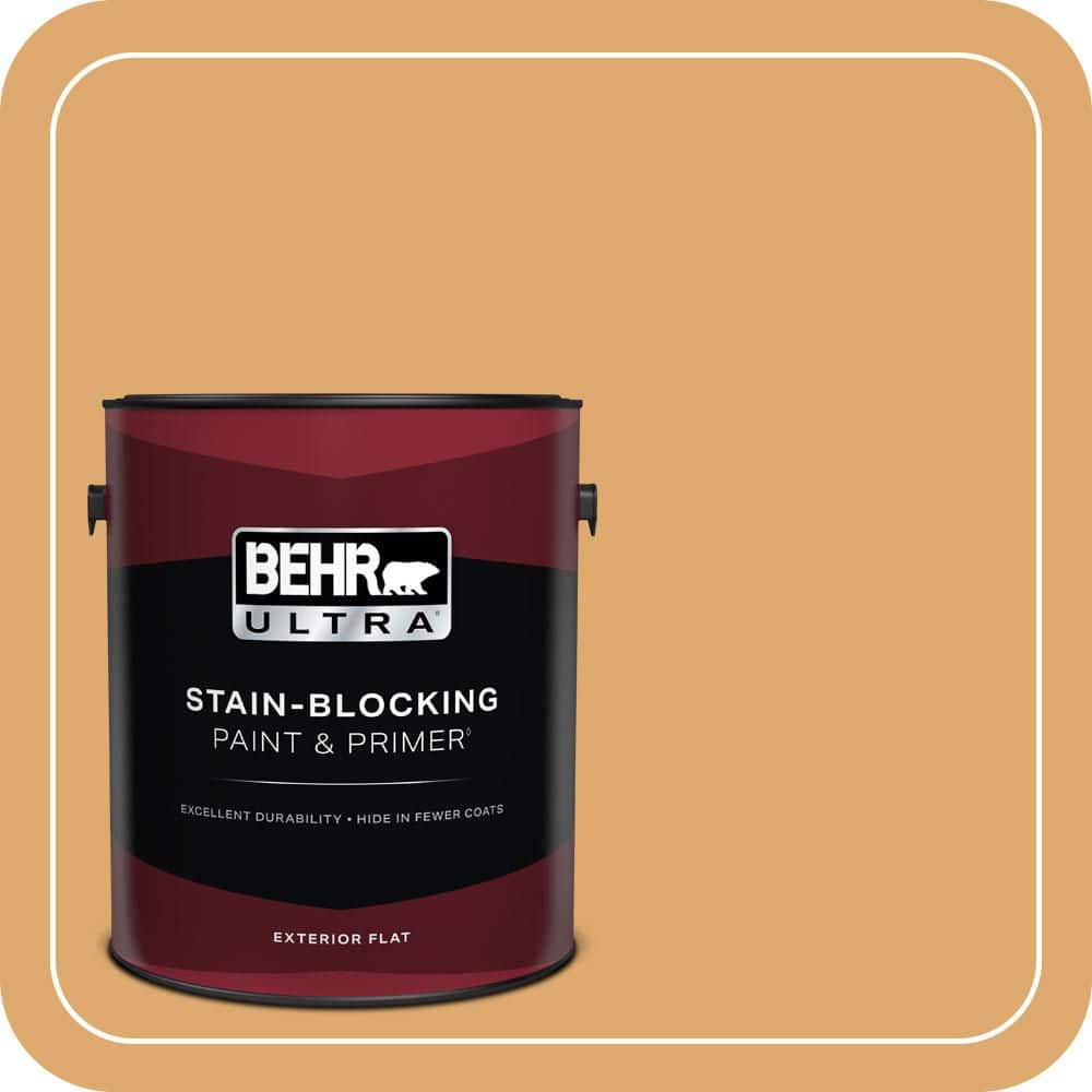 1 gal. Home Decorators Collection #HDC-FL13-2 Corn Maze Flat Exterior Paint & Primer product image for price tracking