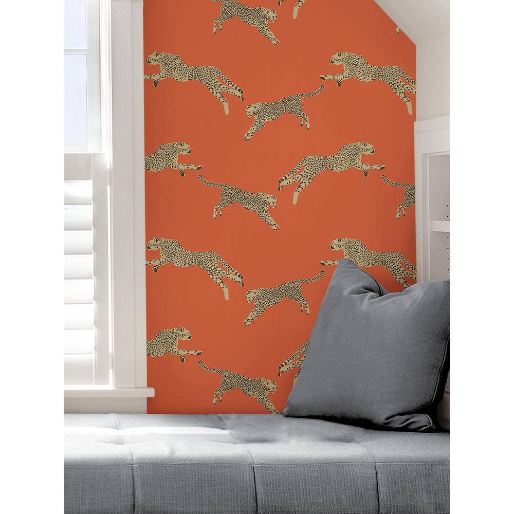 Clementine Orange Cheetah Print Peel & Stick Wallpaper