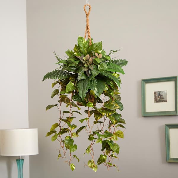 Faux Boston Fern Hanging Natural and Lifelike Artificial Arrangement and  Imitation Greenery, 1 unit - Kroger