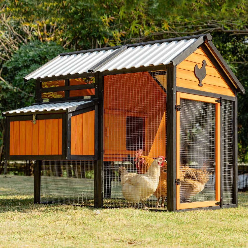 48.6 in. H Chicken Coop with Waterproof PVC Roof Removable Bottom for Easy 