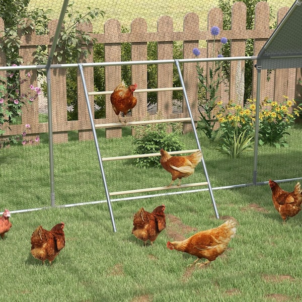PawHut Chicken Perch for Coop, Wooden & Galvanized Steel Jungle