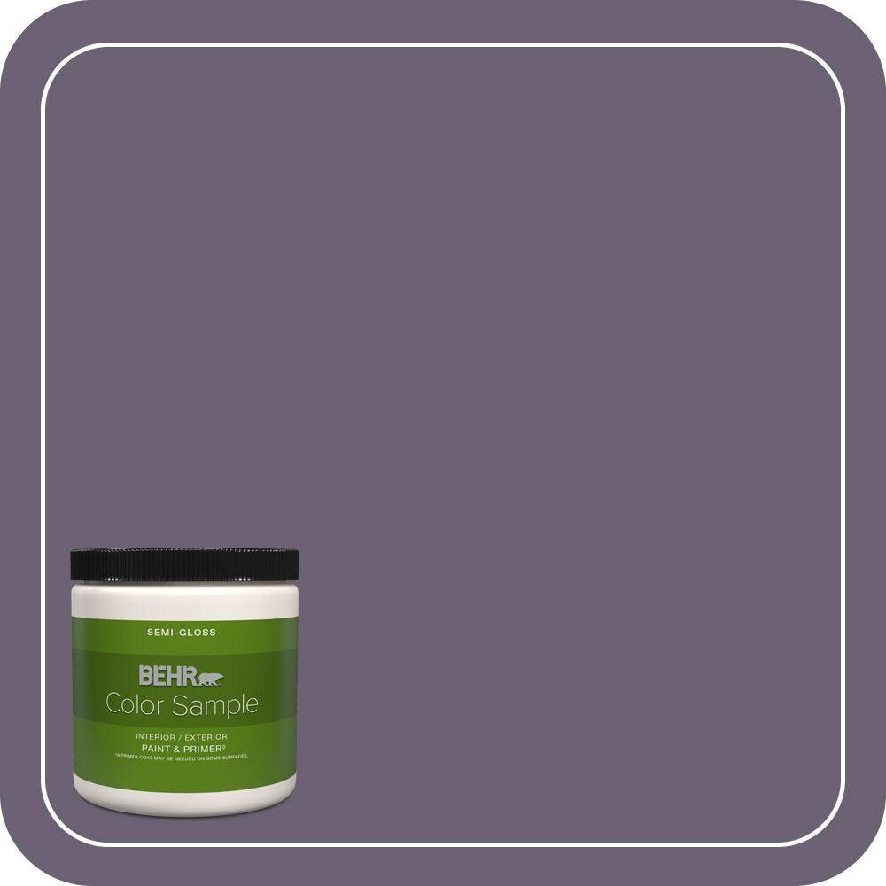 8 oz. #ICC-109 Iris Petal Semi-Gloss Interior/Exterior Paint & Primer Color Sample price history on PriceWatchPro