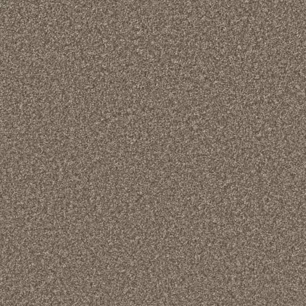 8 in. x 8 in. Texture Carpet Sample-Gentle Glimmer II-Color Joy