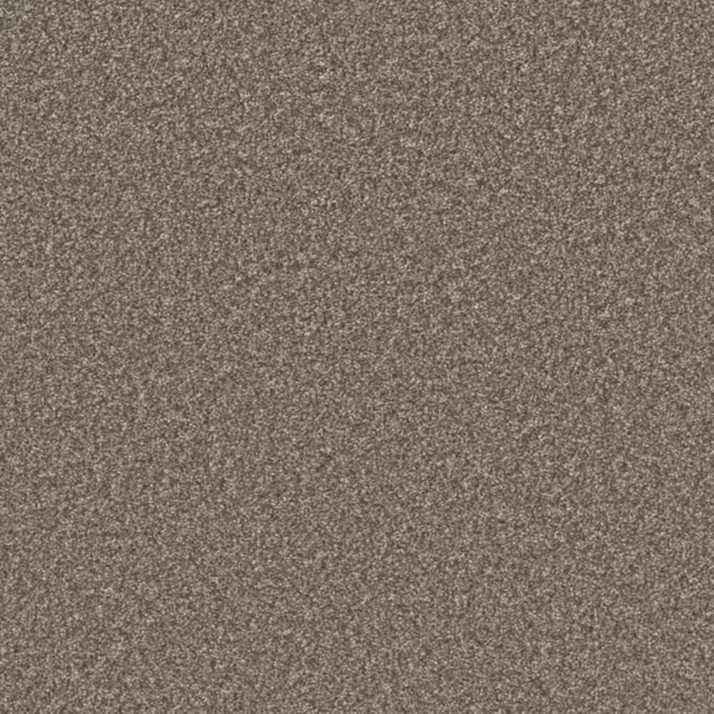 8 in. x 8 in. Texture Carpet Sample-Gentle Glimmer III-Color Joy price history on PriceWatchPro