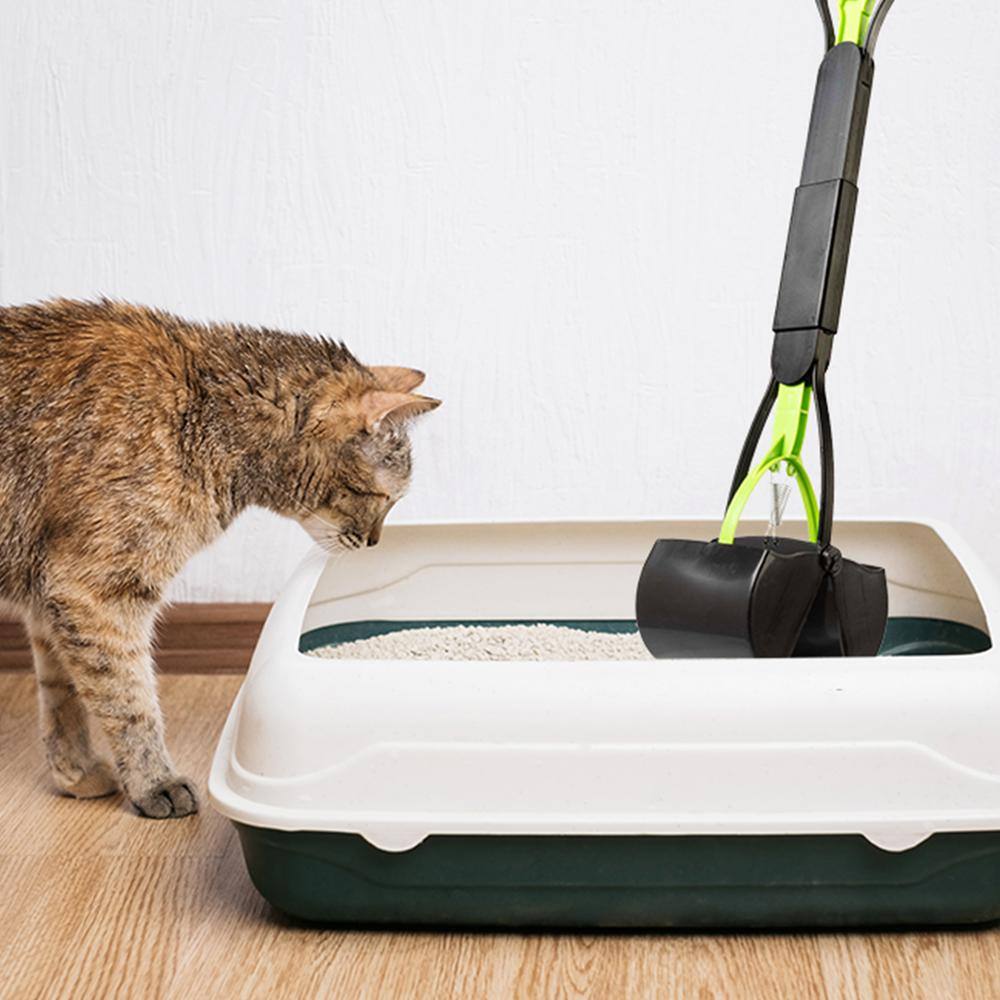 Green Foldable Long-Handled Pet Pooper Scooper