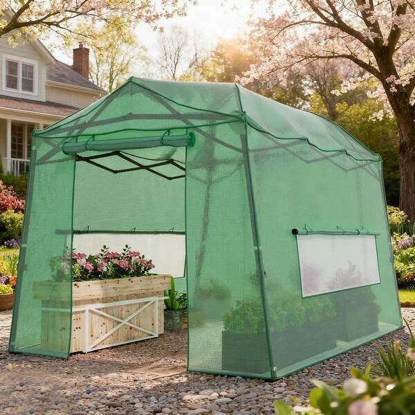 LATTOY Walk-In Greenhouse 11 ft. W x 8.5 ft. D x 8 ft. H Portable