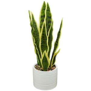 17 in. H Snake Artificial Plant with Realistic Leaves and White Porcelain Pot