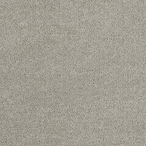 Moonlight  - Glisten - Gray 32 oz. SD Polyester Texture Installed Carpet