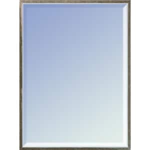 30 in. W x 20 in. H Wood Champagne Gold Silhouette Framed Modern Rectangle Decorative Mirror