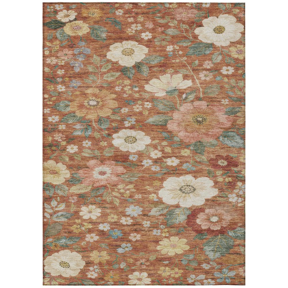 Chantille Machine Washable Indoor/Outdoor Abstract ACN2872 Paprika 5 ft. x 7 ft. 6 in. Area Rug price history on PriceWatchPro