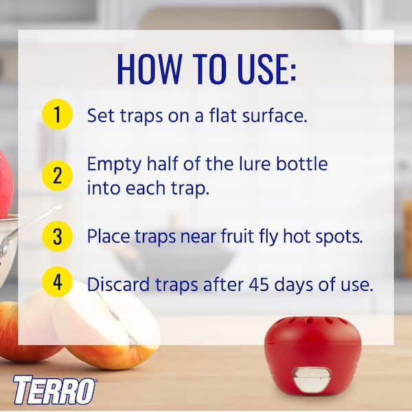 TERRO T2502 Ready-to-Use Indoor Fruit Fly Trap with Built in Window - 2  Traps + 90 day Lure Supply