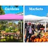 pink-canopy-tents-canopy-02-66.2