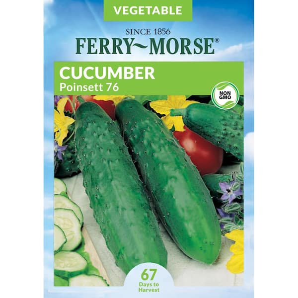 Ferry-Morse Cucumber Poinsett 76 Fruit Seed