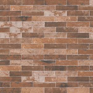 12x12 Baltic Brown Granite Tile - 3/8" Thick Polished Stone For Flooring & Countertops