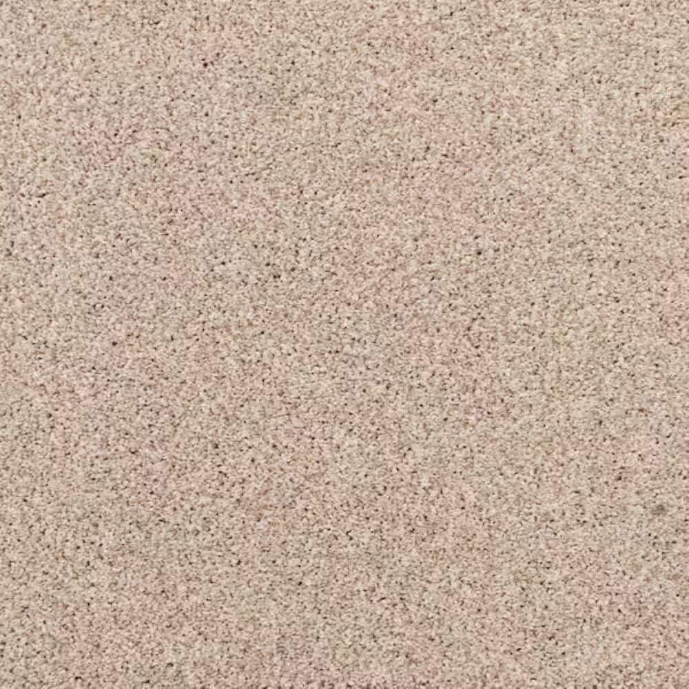 8 in. x 8 in. Texture Carpet Sample-Magalynn I-Color Dusty Trail price history on PriceWatchPro