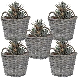 Sunnydaze 8 in. Gray Wicker Basket Planter with Handles (5-Pack)