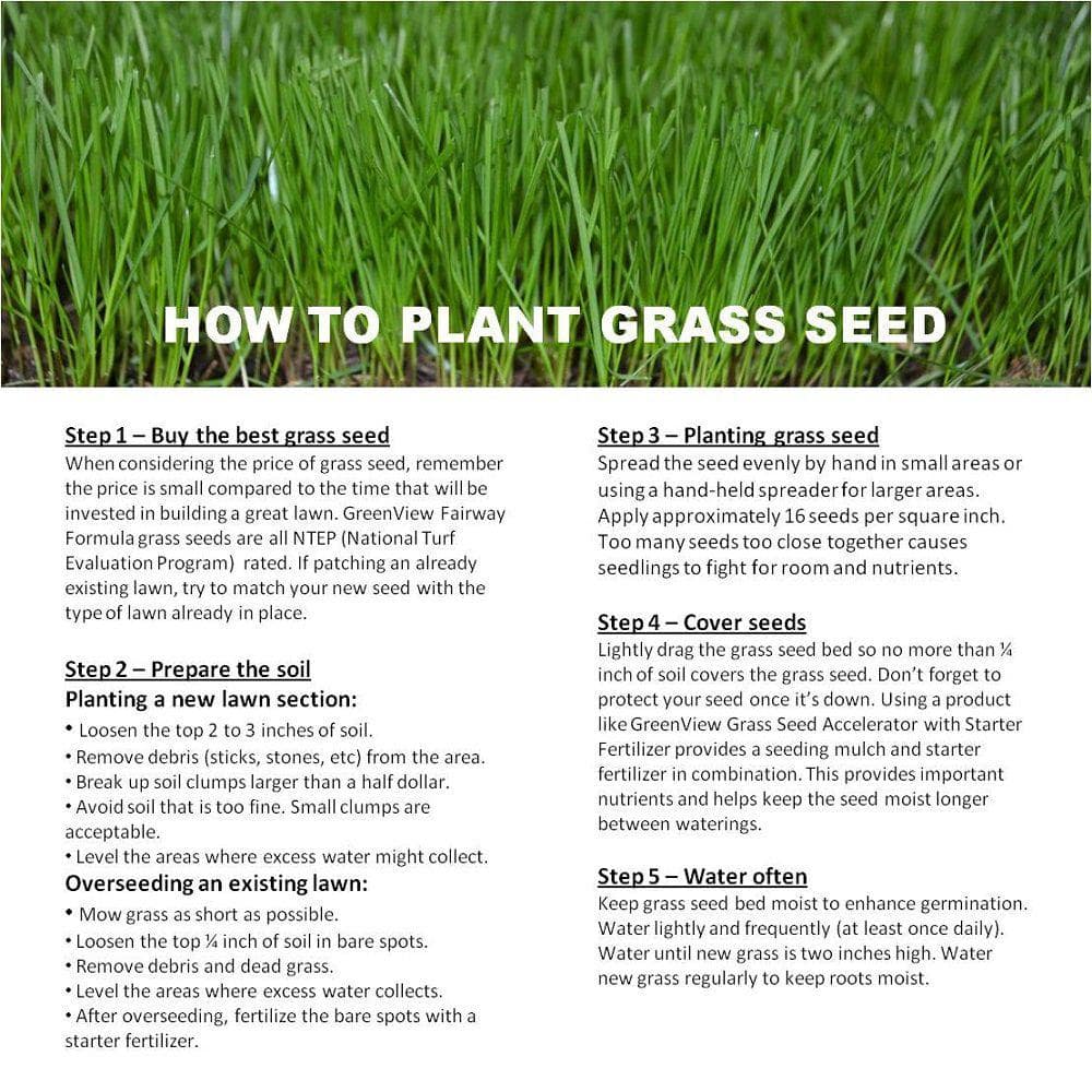 Trifecta II Gray Leaf Spot Resistant Perennial Ryegrass Blend 50 lb. Bag