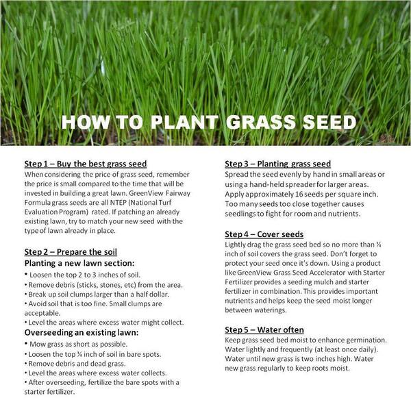 thumbnail image 2 of ProTurf Perennial Ryegrass Seed By Eretz – Willamette Valley Grown – Choose Your Size! – USA Made 2 of 5