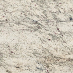 3 in. x 3 in. Granite Countertop Sample in White Antico