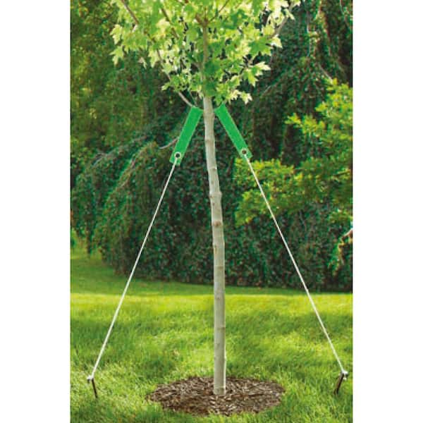 12-Piece Tree Straps