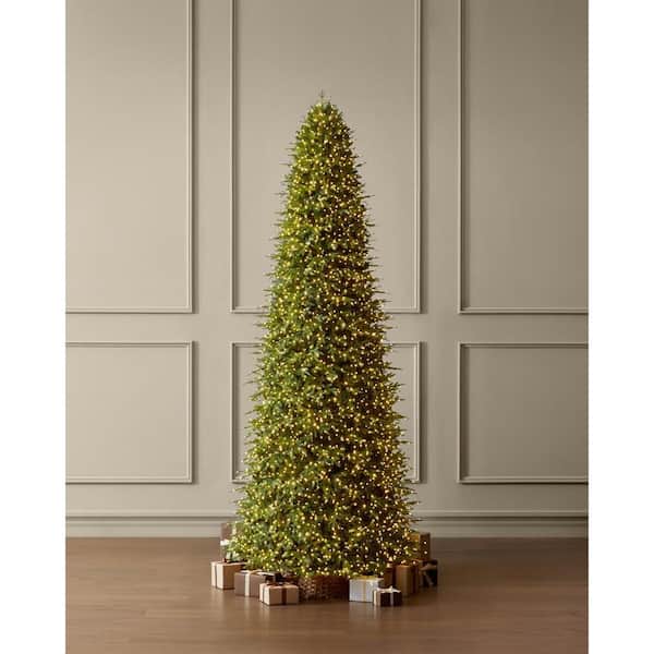 15 ft. Grand Duchess Twinkling Balsam Fir LED Pre-Lit Artificial Christmas Tree