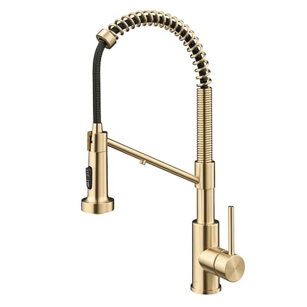 KRAUS Bolden Single-Handle , Pull-Down Sprayer Kitchen Faucet Water Filtration System in Spot Free Antique Champagne Bronze