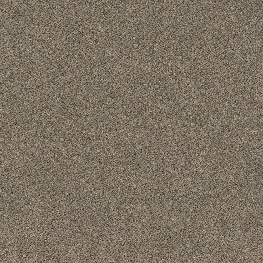 Home Decorators Collection 8 in x 8 in. Texture Carpet Sample ...