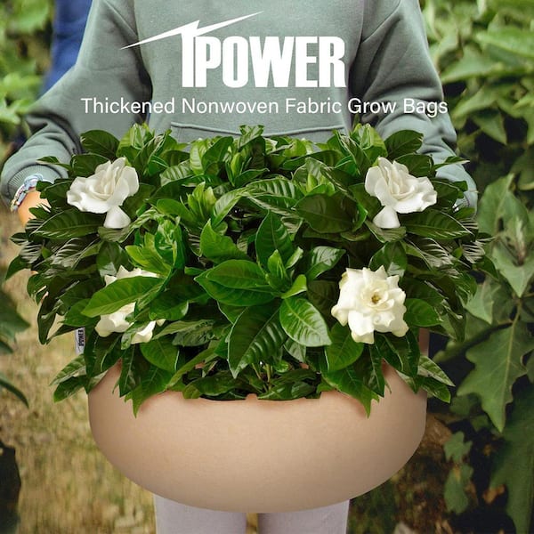 VIVOSUN 20 Gallon Grow Bag Fabric Pot with Handles Planting Container Deck  Patio