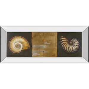 "Seashells I" By Patricia Pinto Mirror Framed Print Wall Art 18 in. x 42 in.