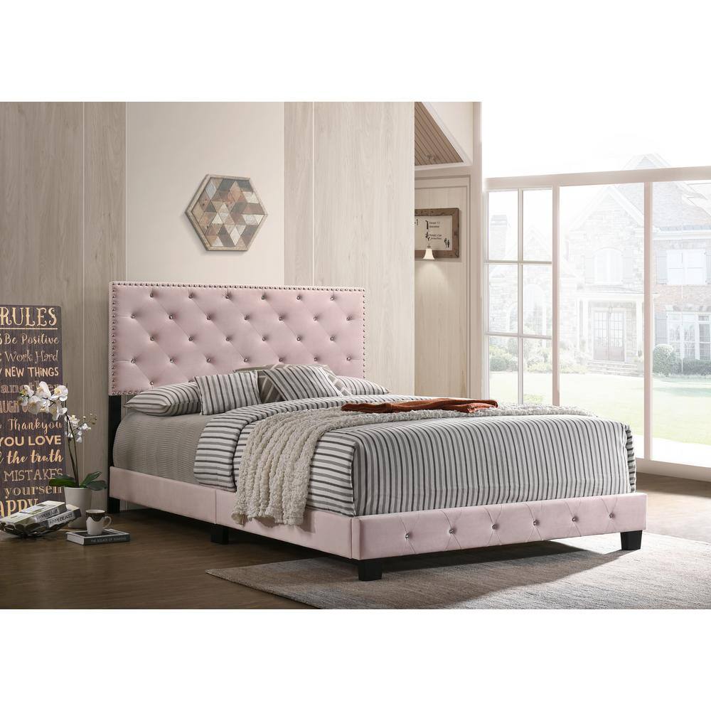 Suffolk Pink Velvet Upholstered Queen Panel Bed with Nailhead Trim