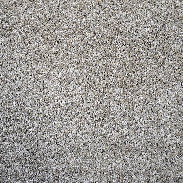 TrafficMaster Carpet Sample-Thoroughbred ll -Color Indy Texture 8 in. x 8 in.