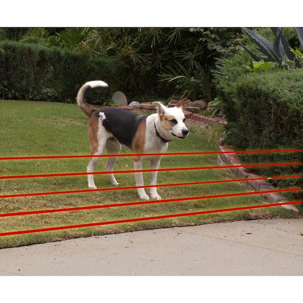 https://images.thdstatic.com/productImages/51523803-35ef-405e-a5f1-f4a315ec71ab/svn/high-tech-pet-fencing-systems-x-10-1f_600.jpg