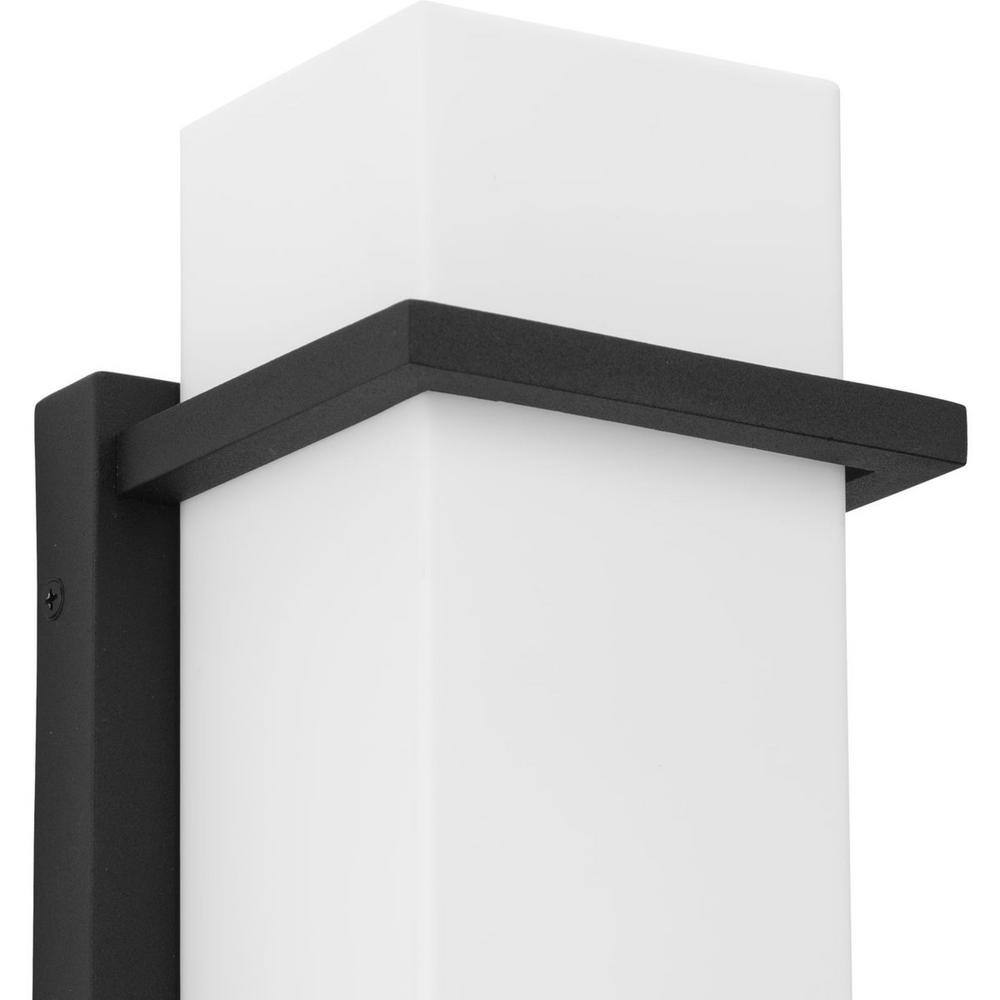 Black Modern Medium Outdoor Wall Lantern with Acrylic Shade